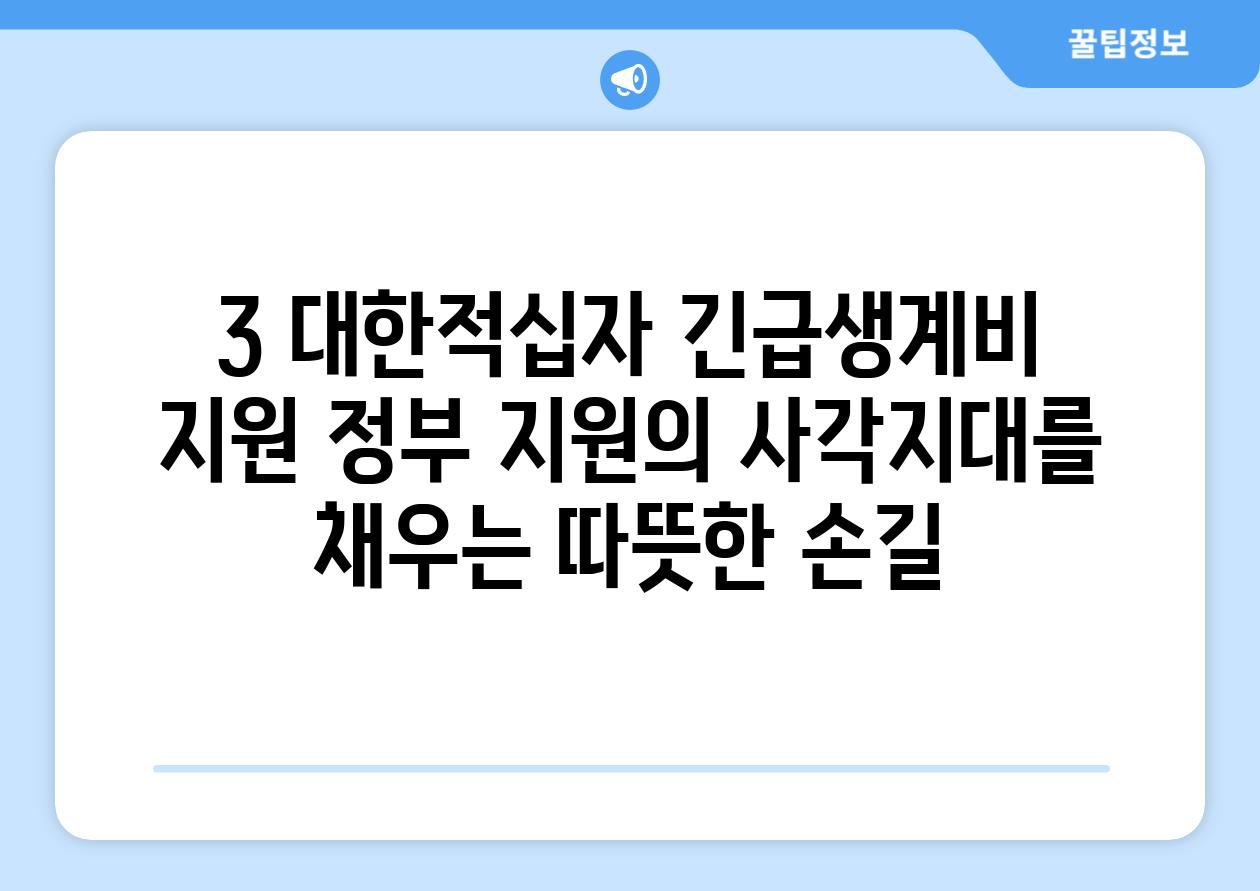 3. 대한적십자 긴급생계비 지원: 정부 지원의 사각지대를 채우는 따뜻한 손길