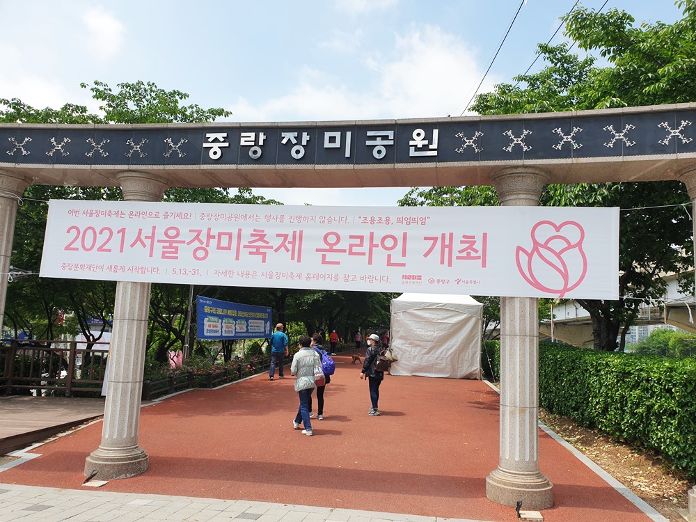 서울중랑천에서열리는장미축제-온라인안내