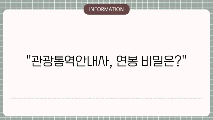 관광통역안내사 연봉 원9취업