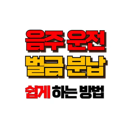음주운전 벌금 분납 썸네일