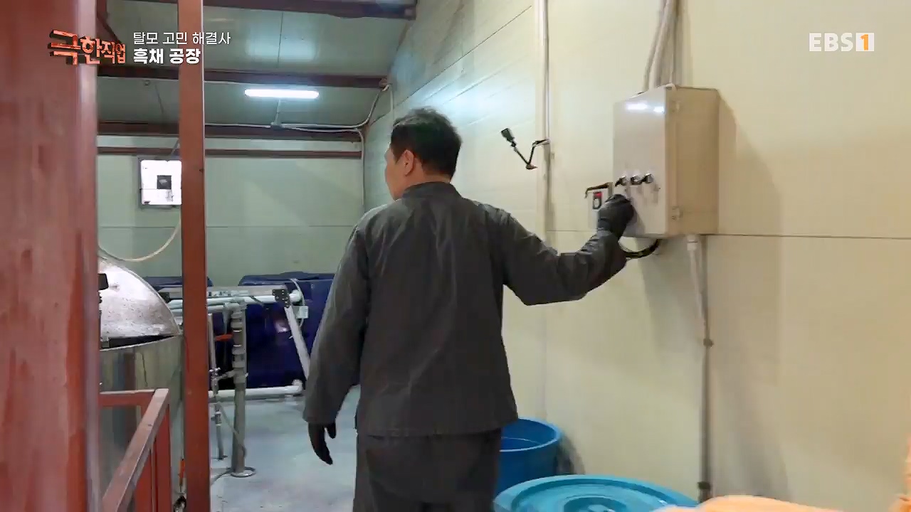 TV - 전 국민의 평생학교 EBS탈모 고민 해결사.mp4_20230508_195809.341.jpg