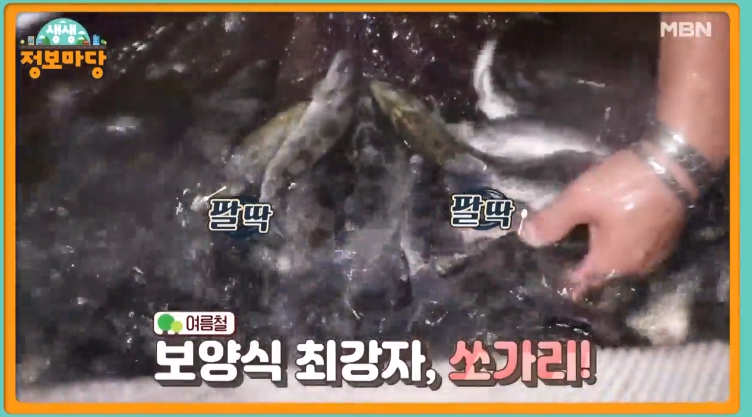  생생정보마당 쏘가리 한 상 쏘가리탕 선장밥상 이건 뭐고 서핑 해수욕장 쏘가리양식 1164회