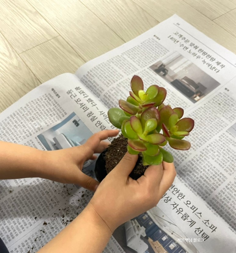 생활도자기 도자기공방, 10