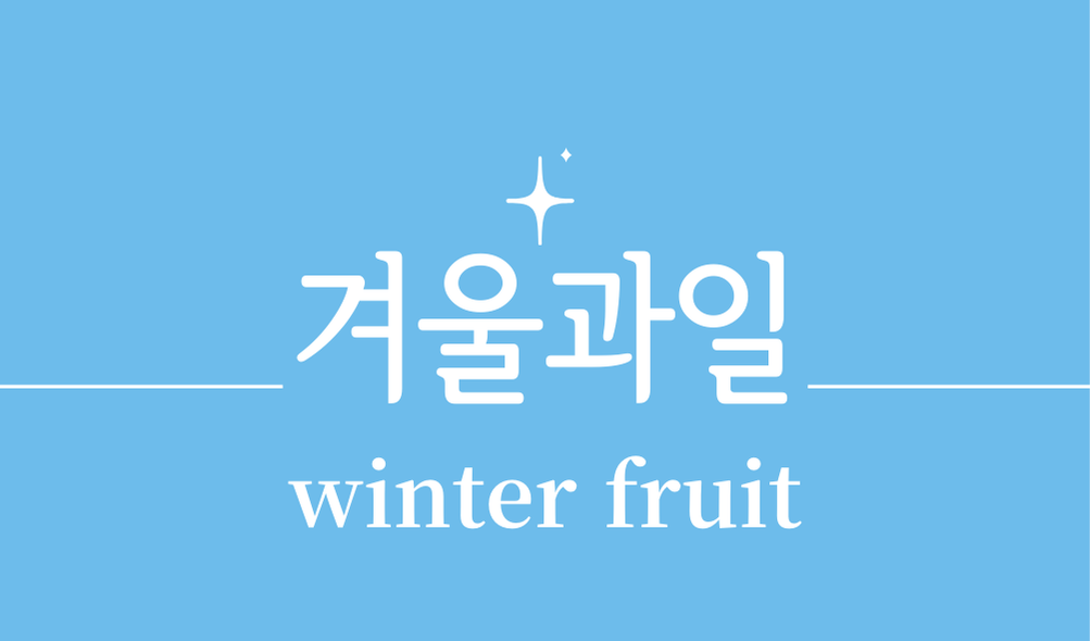 '겨울과일(winter fruit)'