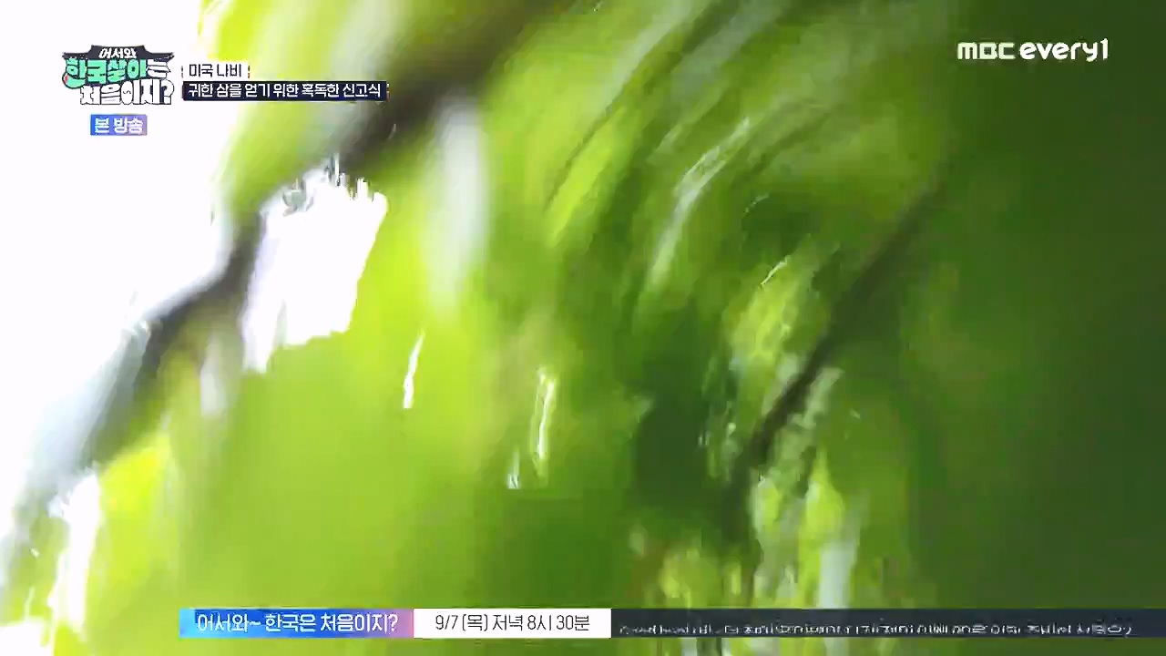 어서와 한국살이는 처음이지.E16.230905p-NEXT.mp4_20230906_204042.717.jpg