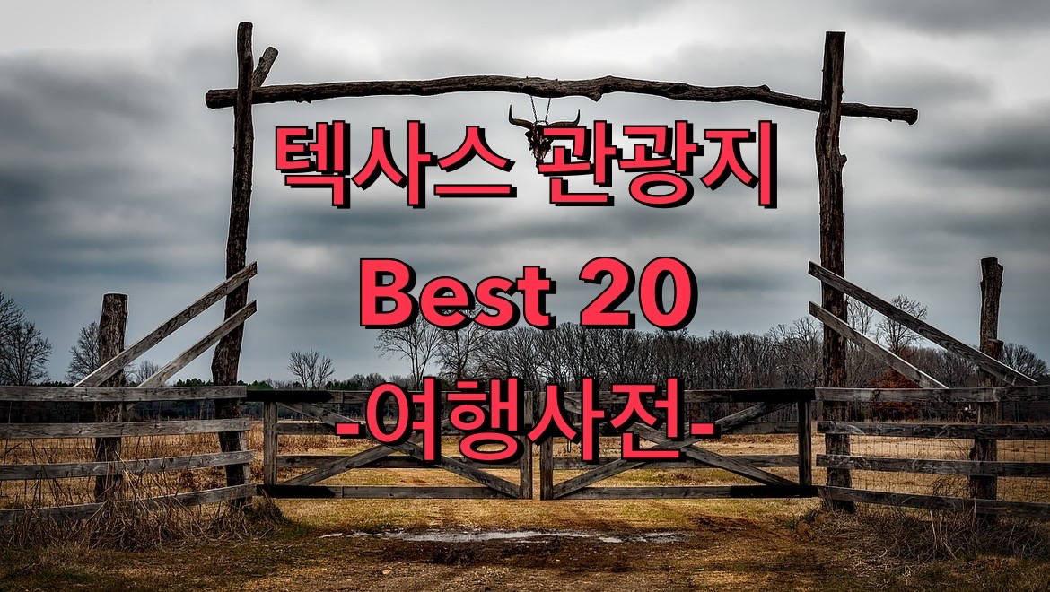  텍사스에 방문하면 꼭 가야할 20곳 추천