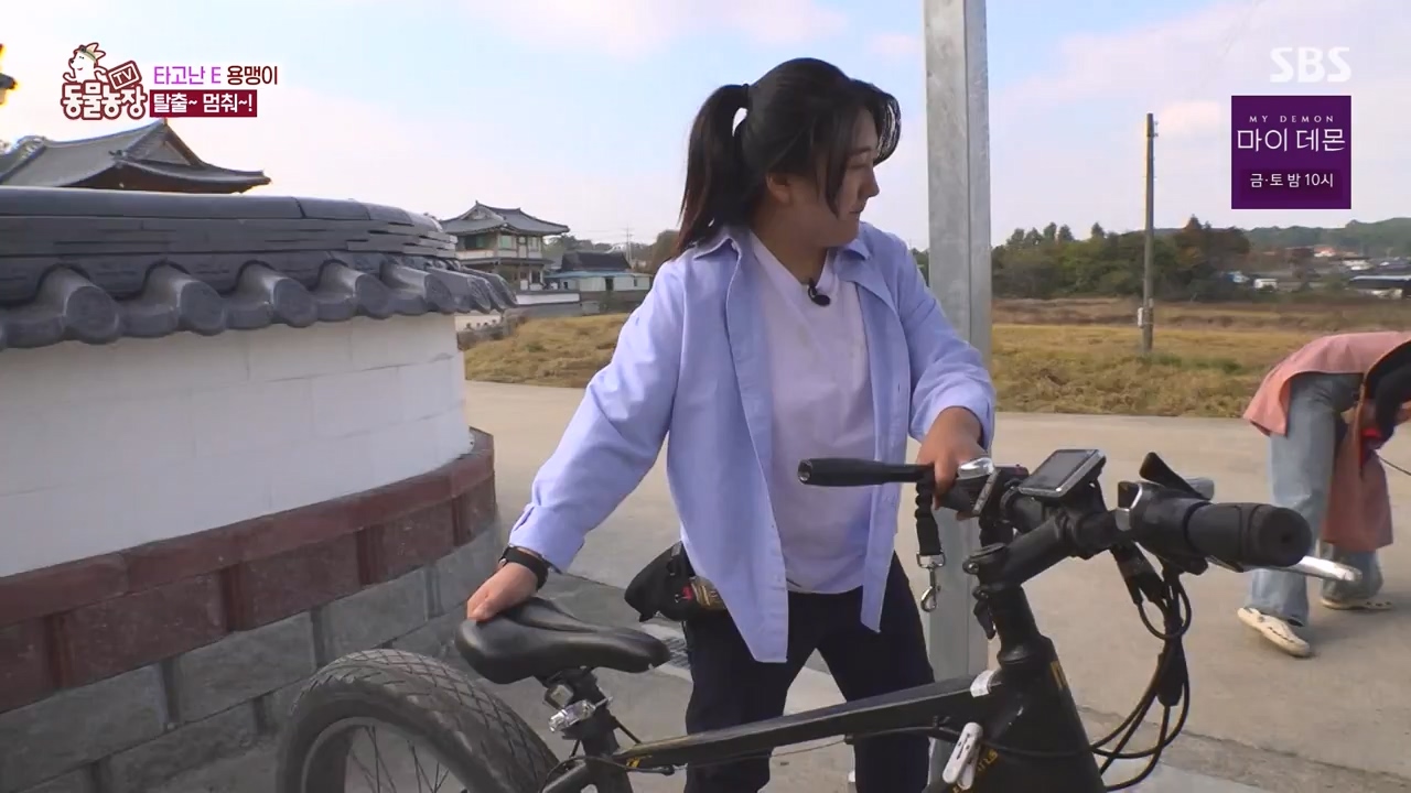 TV 동물농장.E1147.231127p-NEXT.mp4_20231126_170402.513.jpg