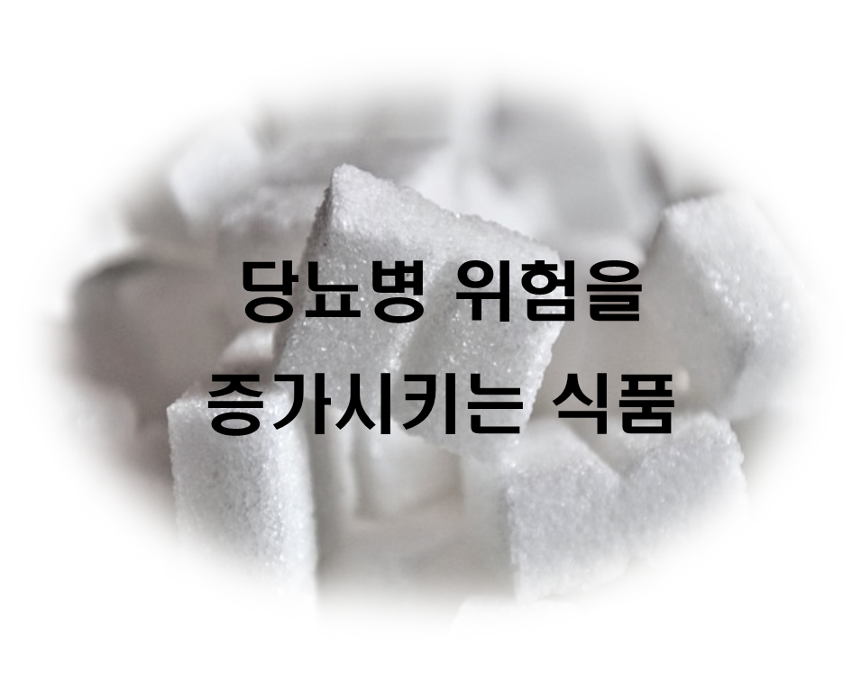  당뇨병 위험을 증가시키는 식품