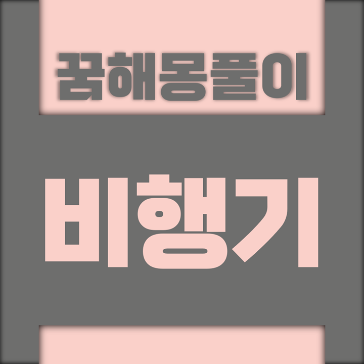  [꿈해몽풀이] 비행기 꿈해몽 모음