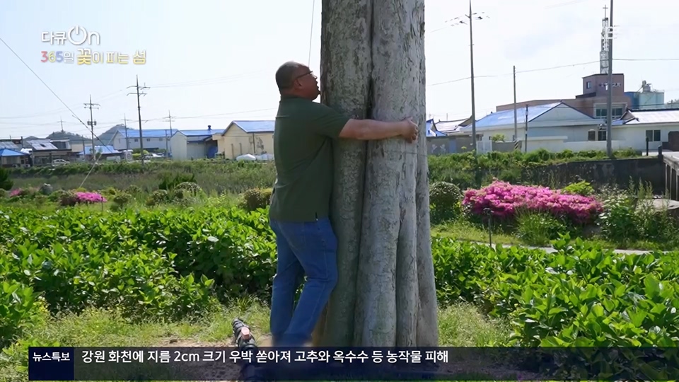 다큐 On.E201.230610p.H264-F1RST.mp4_20230611_165947.714.jpg