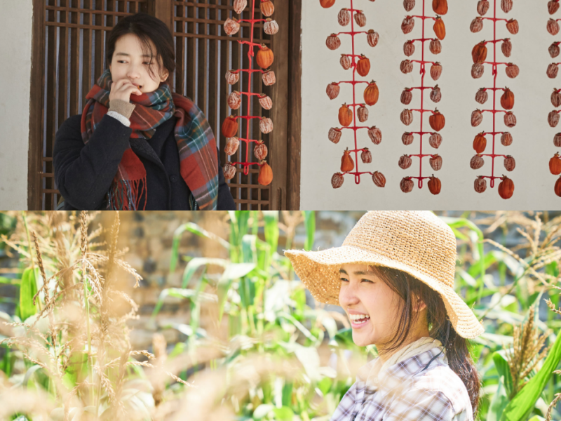  국내외 7편의 요리 영화 은밀한 비법의 레시피
