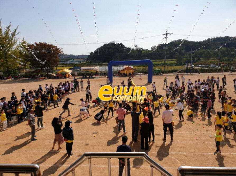  경기도 화성 시골 초등학교운동회 대행 이벤트업체 소규모 체육대회 이벤트 추천프로그램