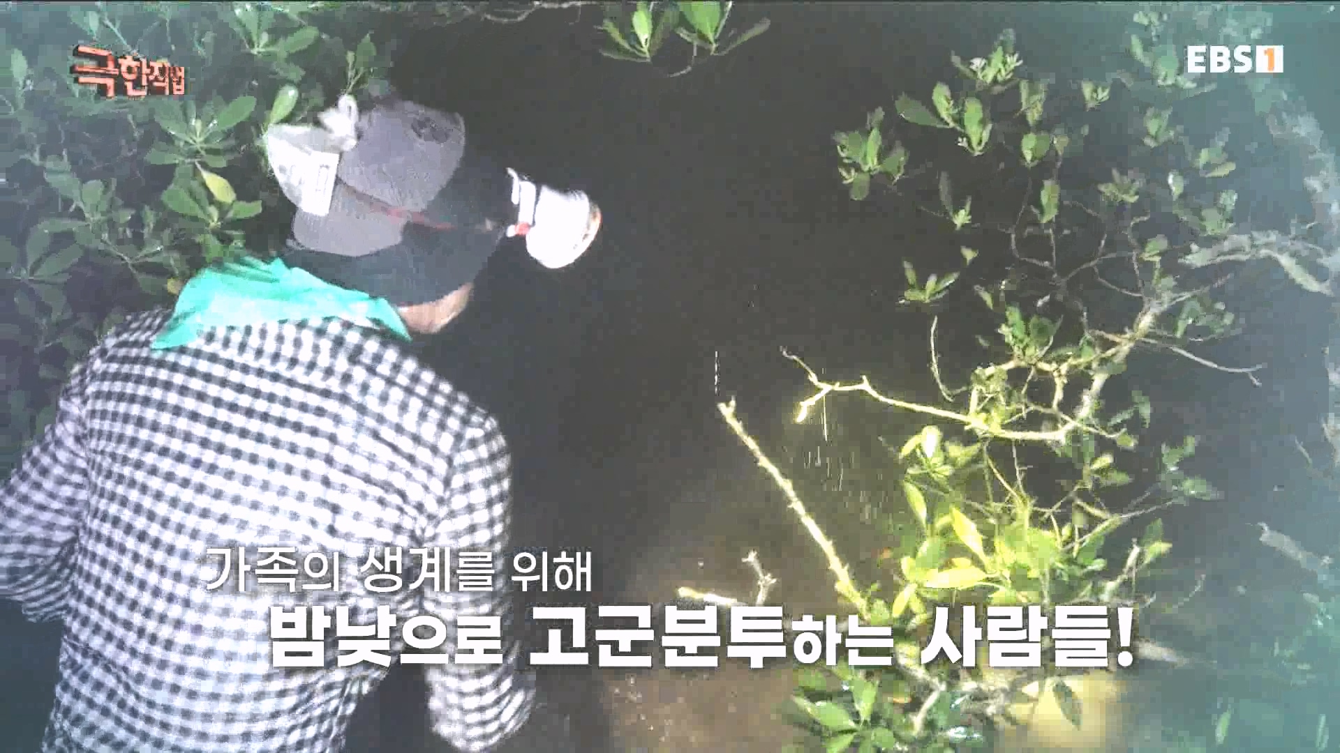 물뱀 사냥과 맹르로브숲의 게잡이 231021.mp4_20231025_203032.195.jpg