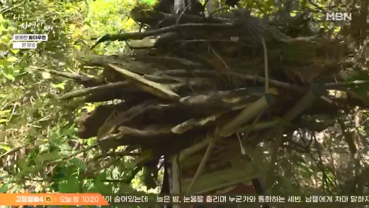 나는 자연인이다.E606.240523p-NEXT.mp4_20240523_195545.929.jpg