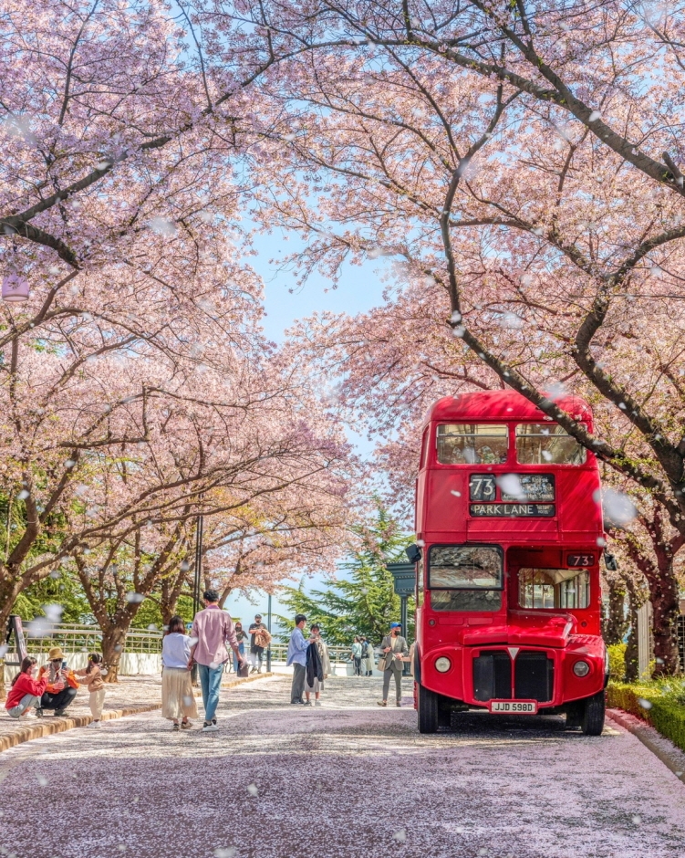 대구-이월드-벚꽃축제
