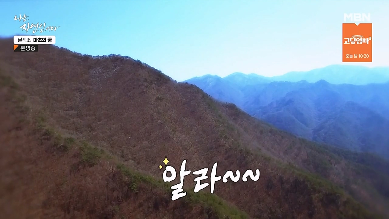 나는 자연인이다.E544.230309p-NEXT.mp4_20230309_191730.125.jpg