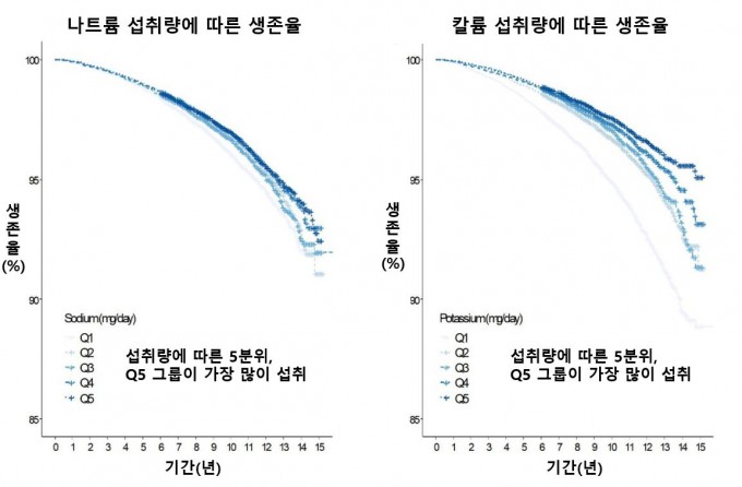 나트륨섭취량 생존률&#44; 칼륨섭취량 생존률