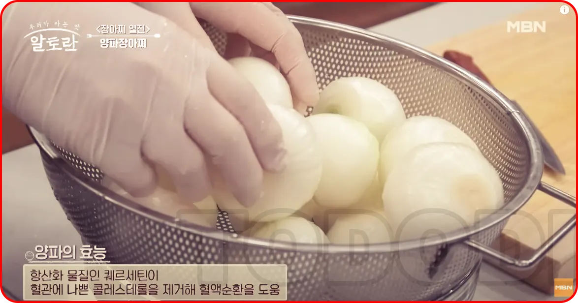 양파의 효능