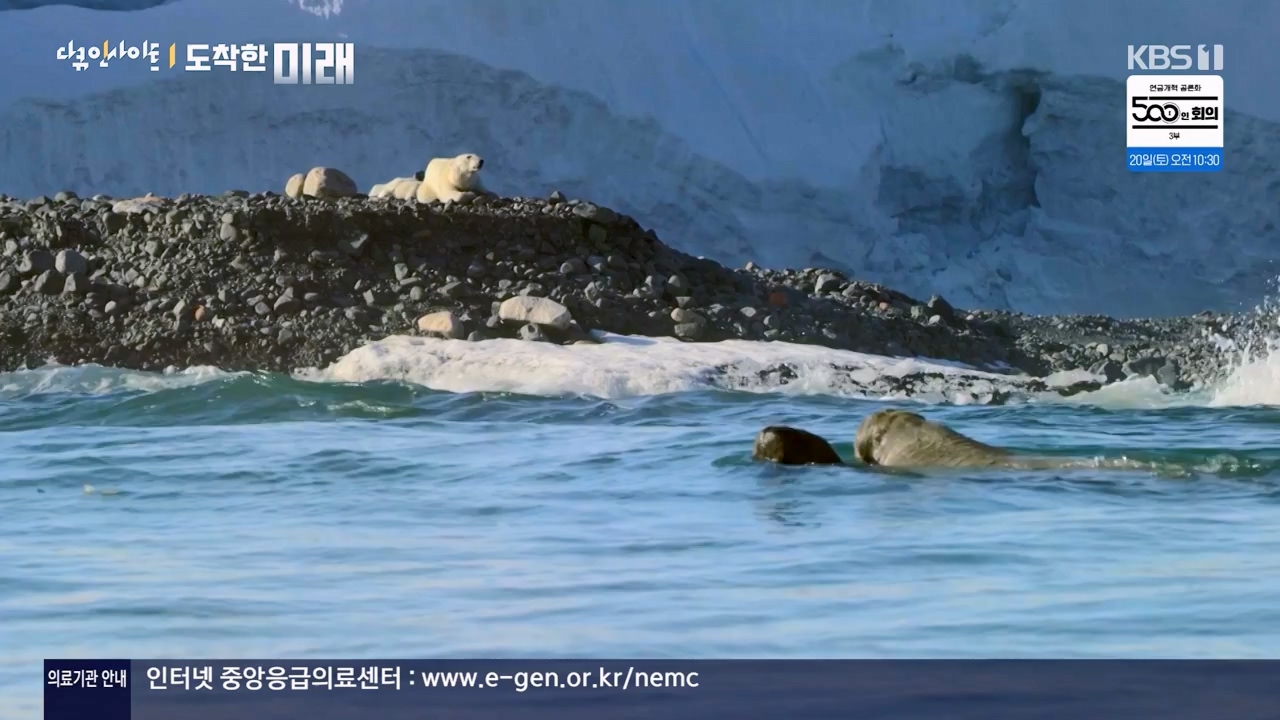다큐 인사이트.E185.240419p-NEXT.mp4_20240420_161125.777.jpg