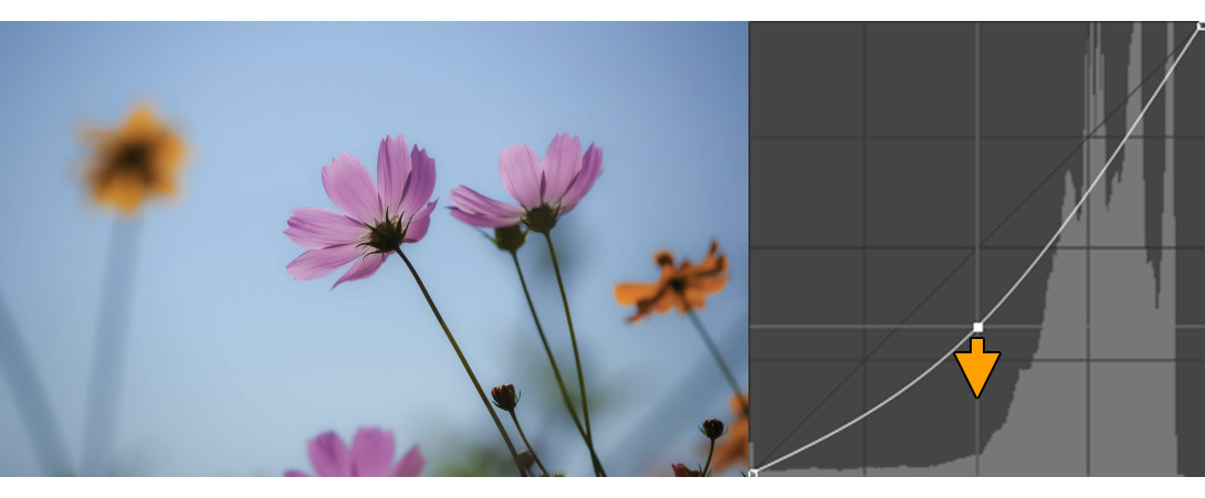 밝기를 낮춘 모습