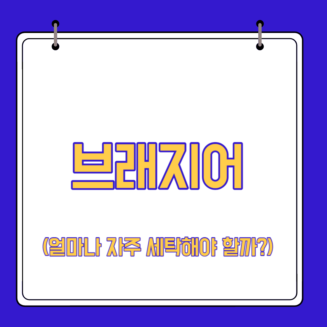  브래지어를 얼마나 자주 세탁해야 할까?(세탁법)