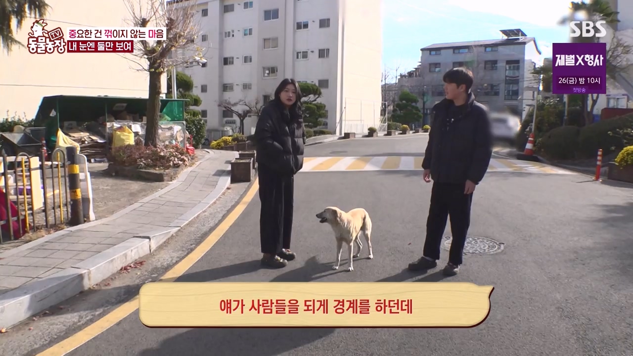 TV 동물농장.E1154.240115p-NEXT.mp4_20240114_184356.661.jpg