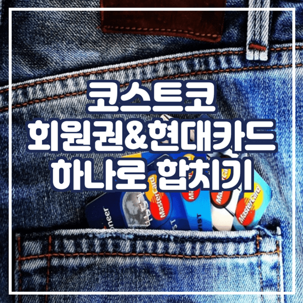  코스트코 회원증 현대리워드카드 합치기