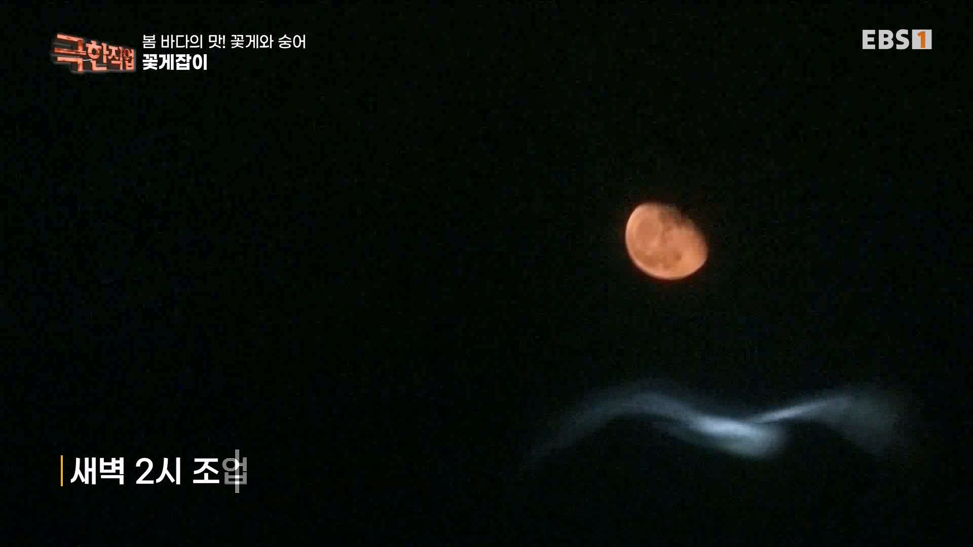 극한 직업 꽃게와 숭어 1080p.mp4_20230530_194647.724.jpg