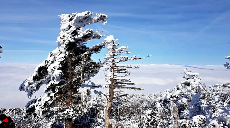 제주 한라산 설경 상고대