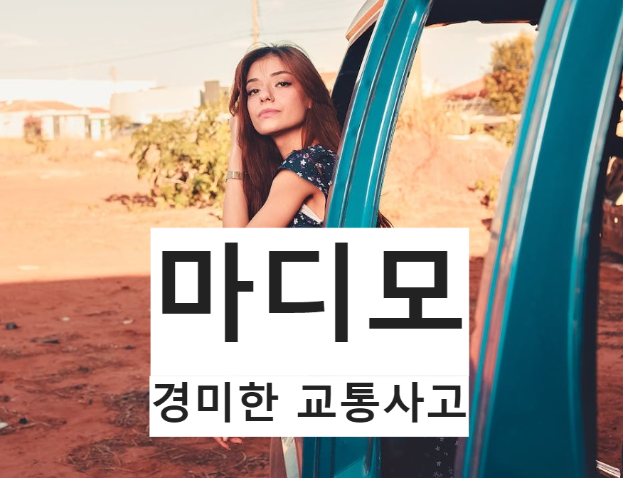  마디모 아시나요? 덧붙여 23년 자동차 보험 표준약관 개정