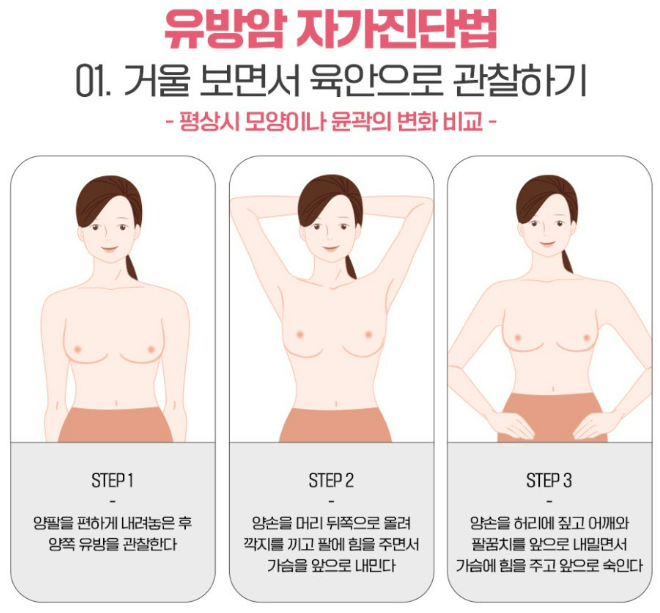 유방암 초기증상 검사비용 유방암 자가진단