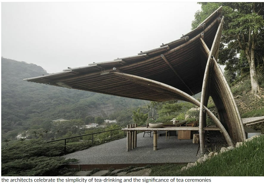 대만의 뱀부 캐노피 찻집 A bamboo canopy shelters teahouse in taiwan by behet bondzio lin architekten