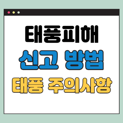  태풍 피해 신고 방법 - 여름철 태풍 주의사항