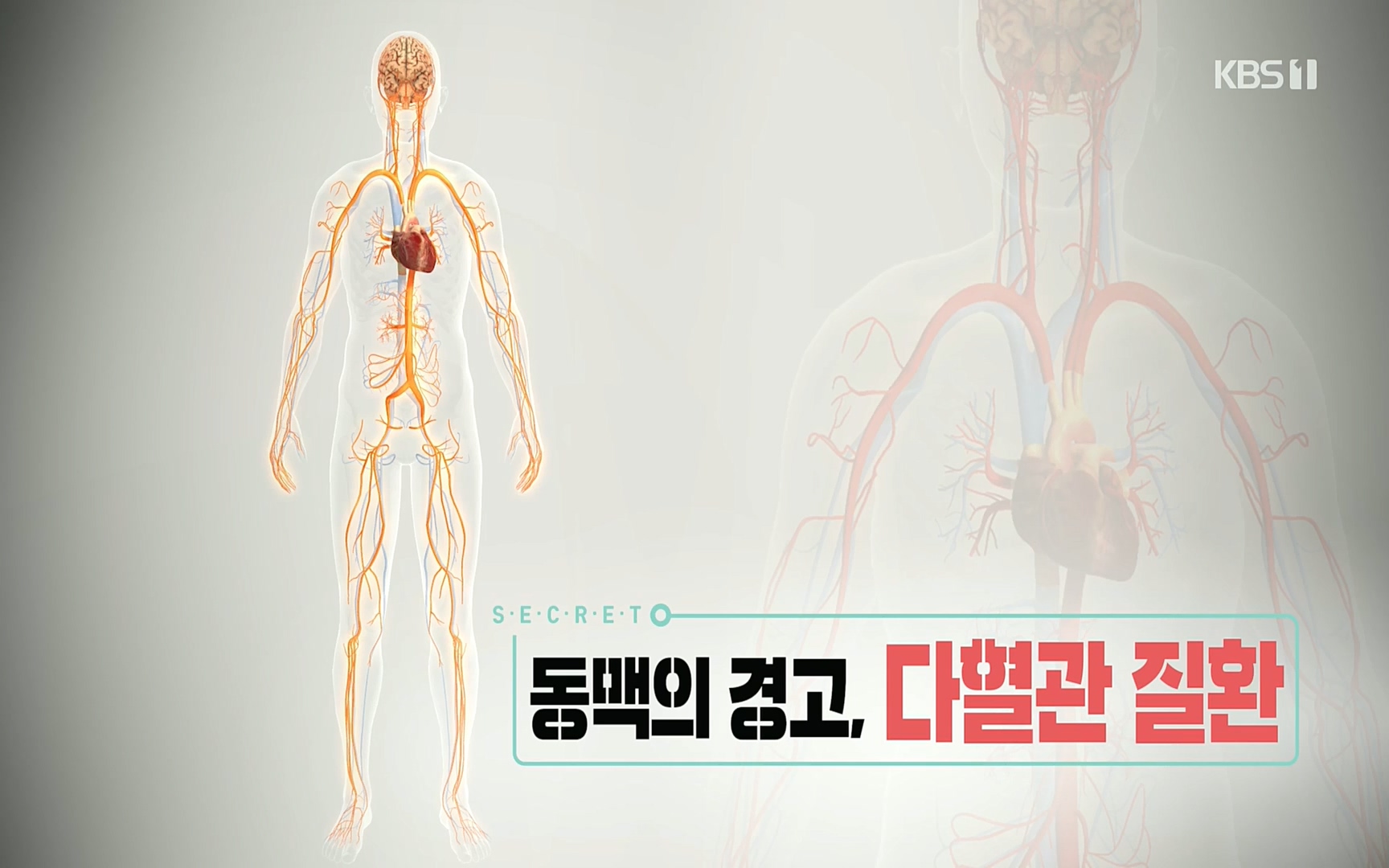 생로병사의 비밀.E831.220817p.H264-F1RST.mp4_20220822_185307.530.jpg