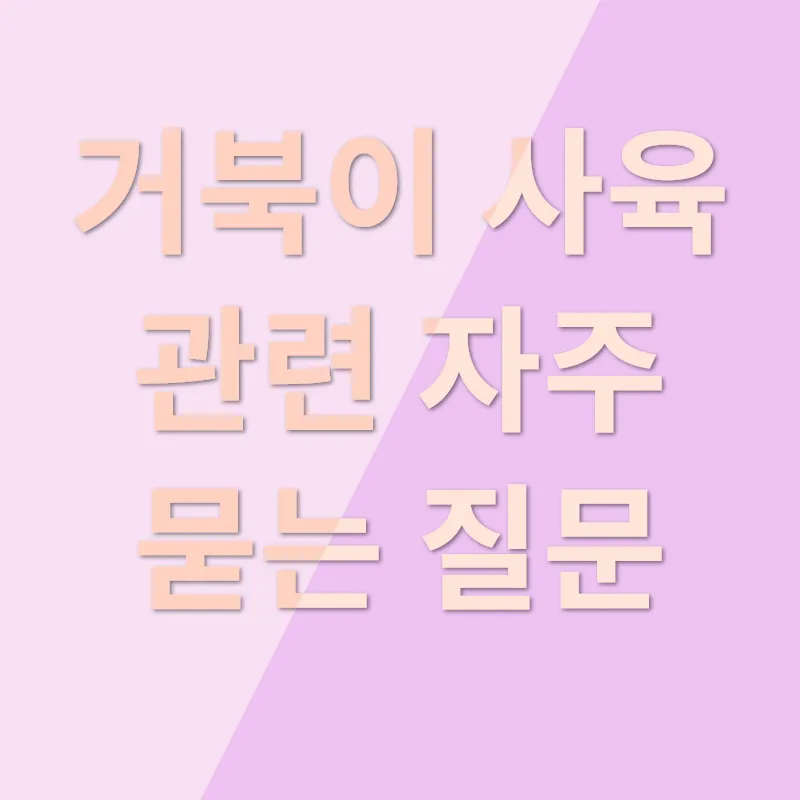 거북이 사육_4