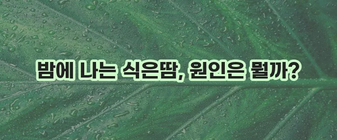 잠잘 때 식은땀 흘리는 이유, 혹시 궁금하신가요?