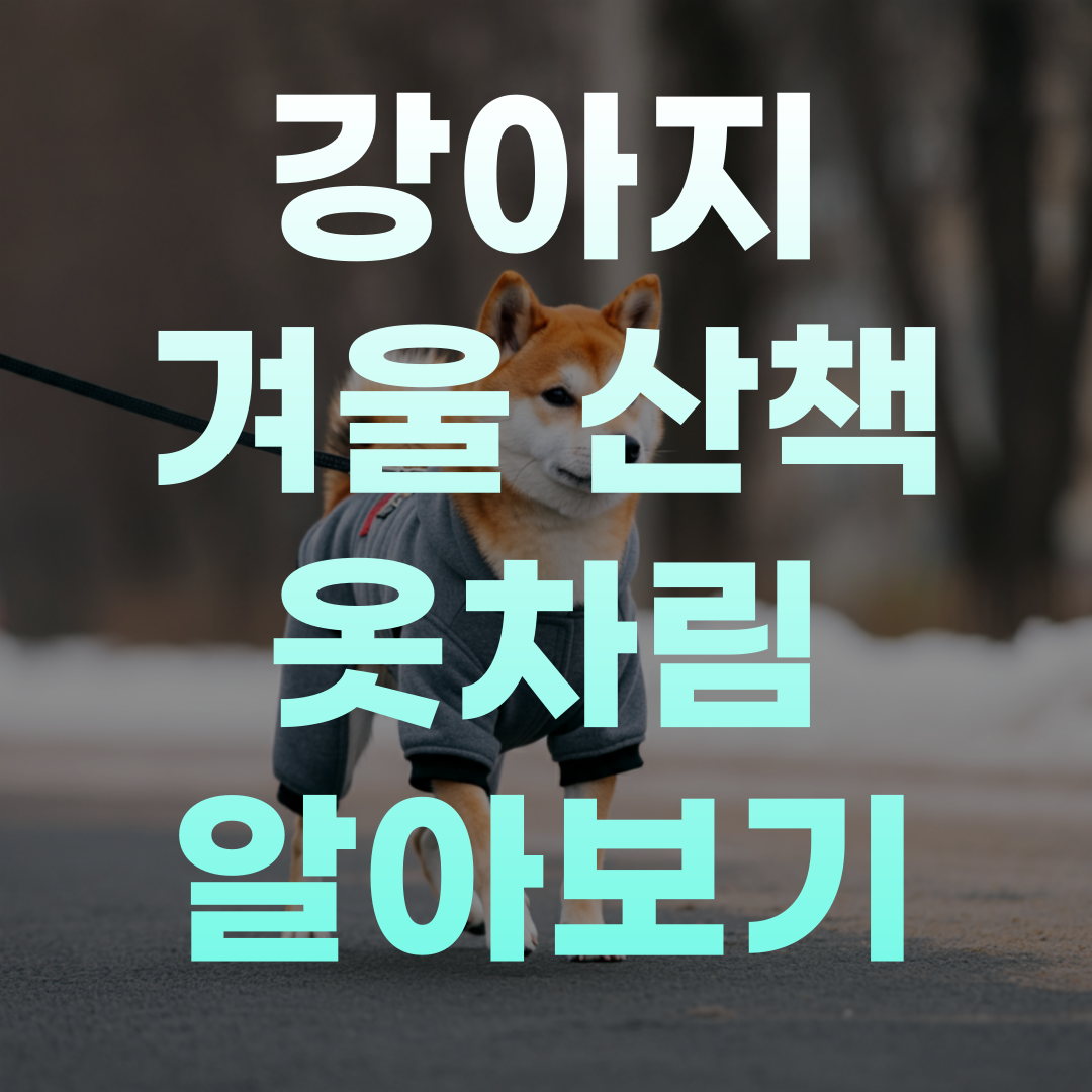 겨울 산책을 하고 있는 강아지 반려견