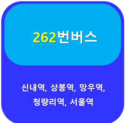 262번버스