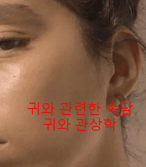  [속담] 귀와 관련된 속담