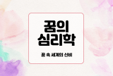  꿈의 심리학 : 꿈 속 세계의 신비