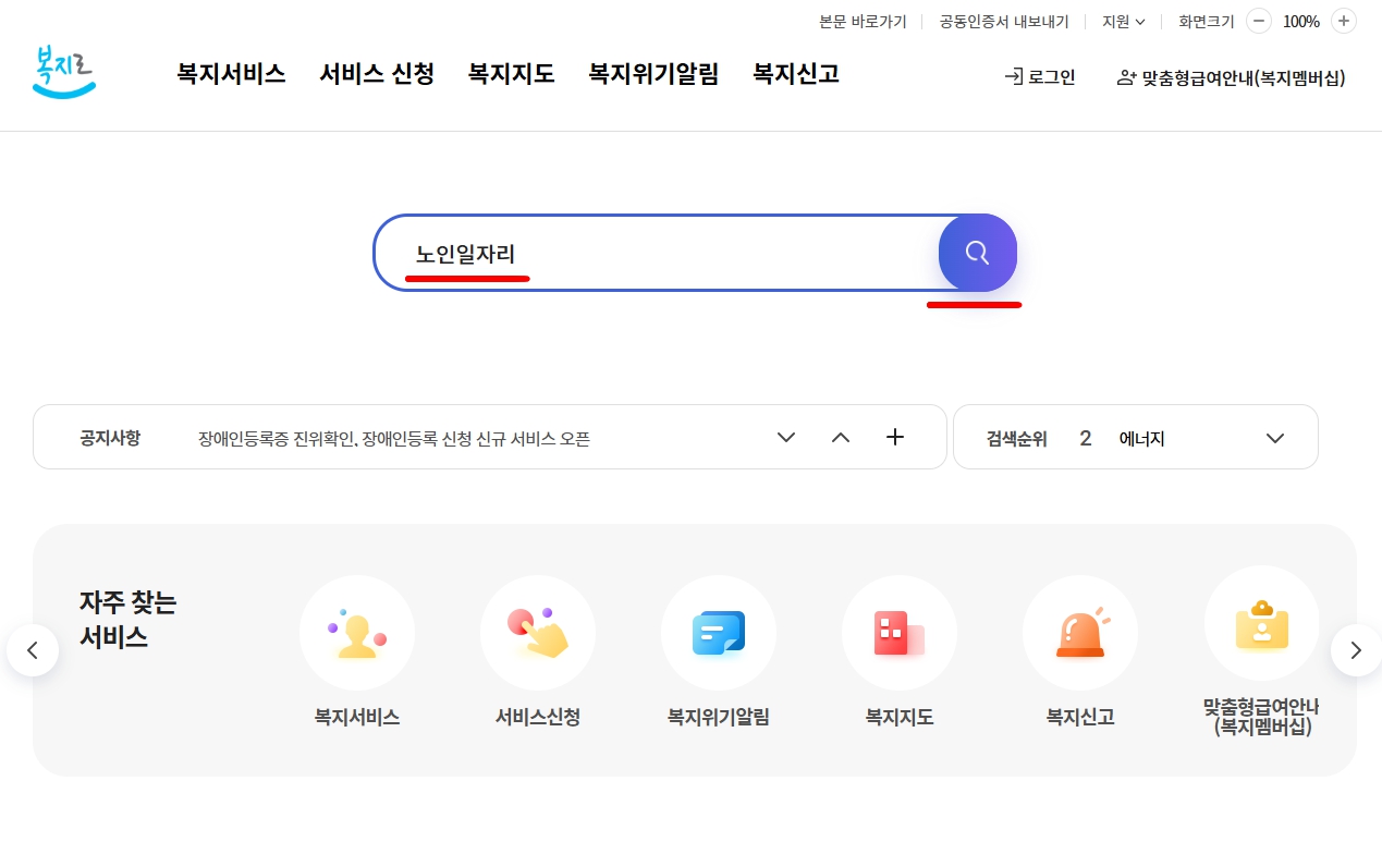 2025년 노인일자리 및 사회활동 지원사업