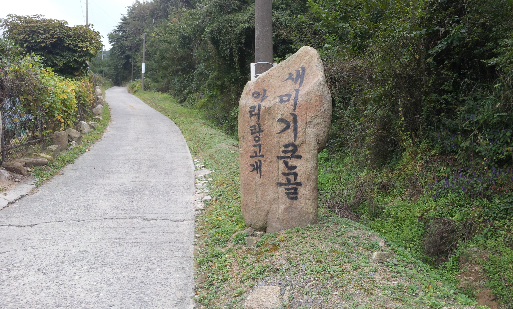 은행나무식당 이미지