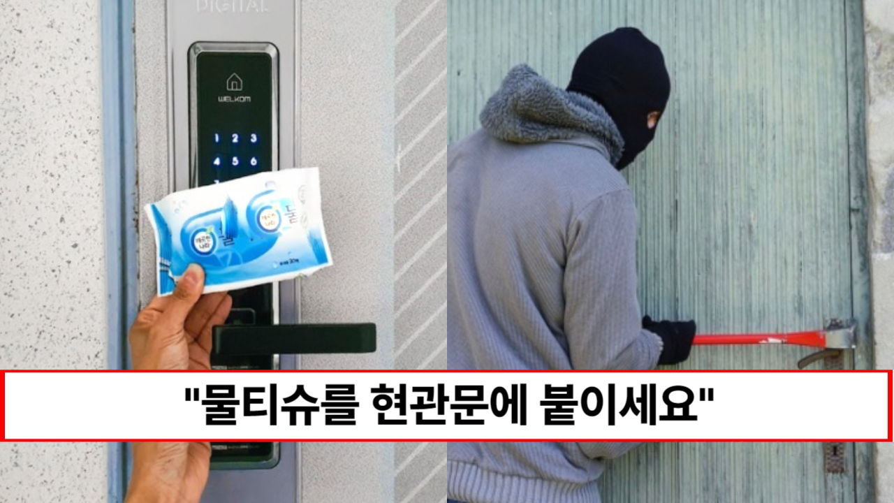 “다 쓴 물티슈는 현관문에 붙이세요” 우리 가족 모두를 지켜주는 물티슈캡 활용법 3가지