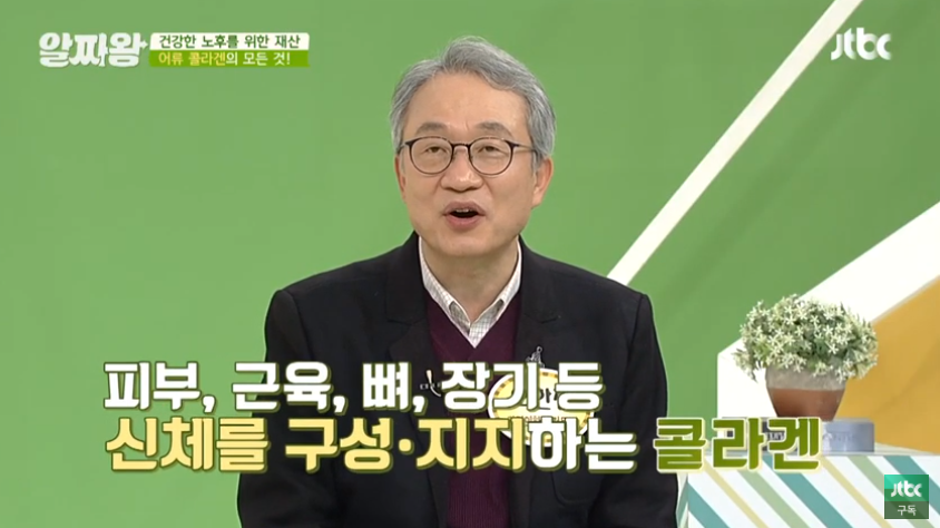  어류콜라겐 효능과 좋은제품 고르는 꿀팁