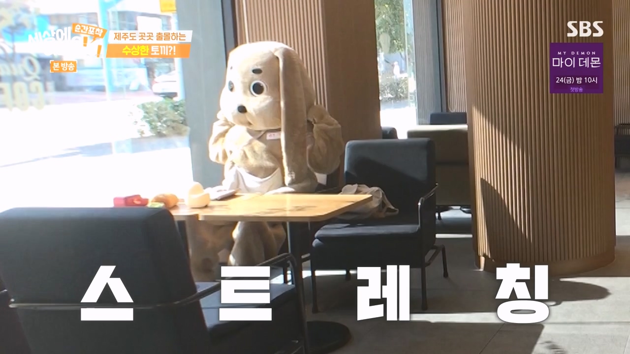 순간포착 세상에 이런일이.E1251.231105p-NEXT.mp4_20231105_172811.579.jpg