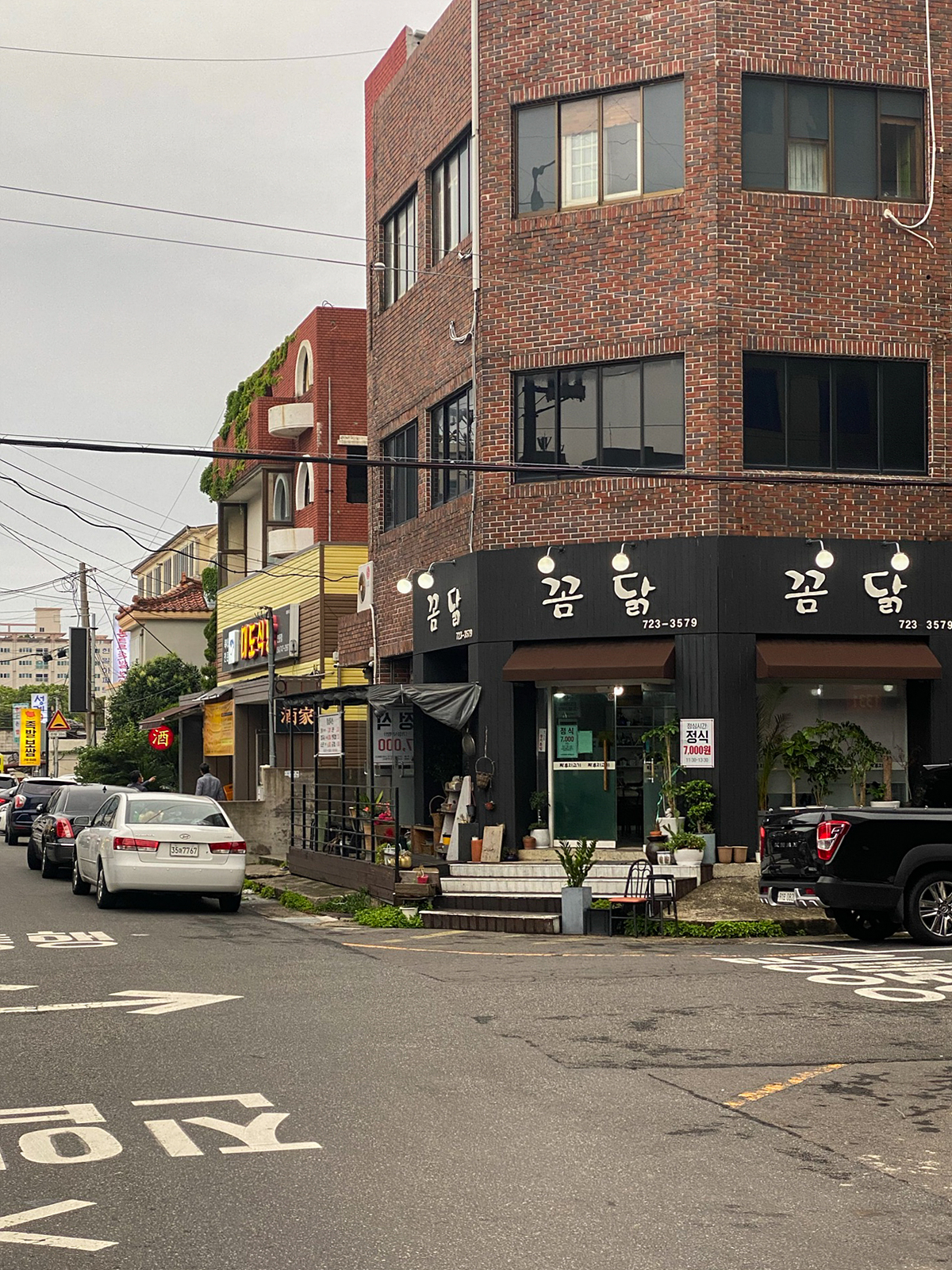 꼼닭 이미지