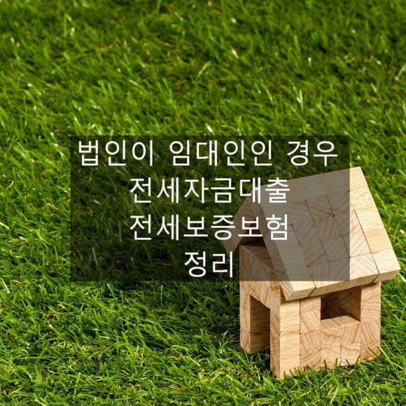 임대인 전세보증보험 법인이 임대인인 경우, 전세자금대출
