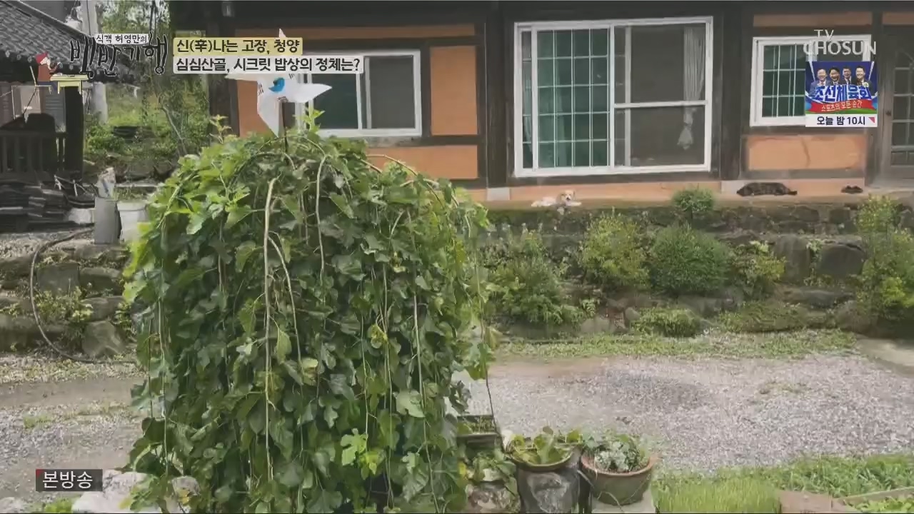 식객 허영만의 백반기행.E213.230826p.H264-F1RST.mp4_20230826_180850.449.jpg