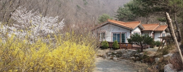 물소리새소리 펜션
