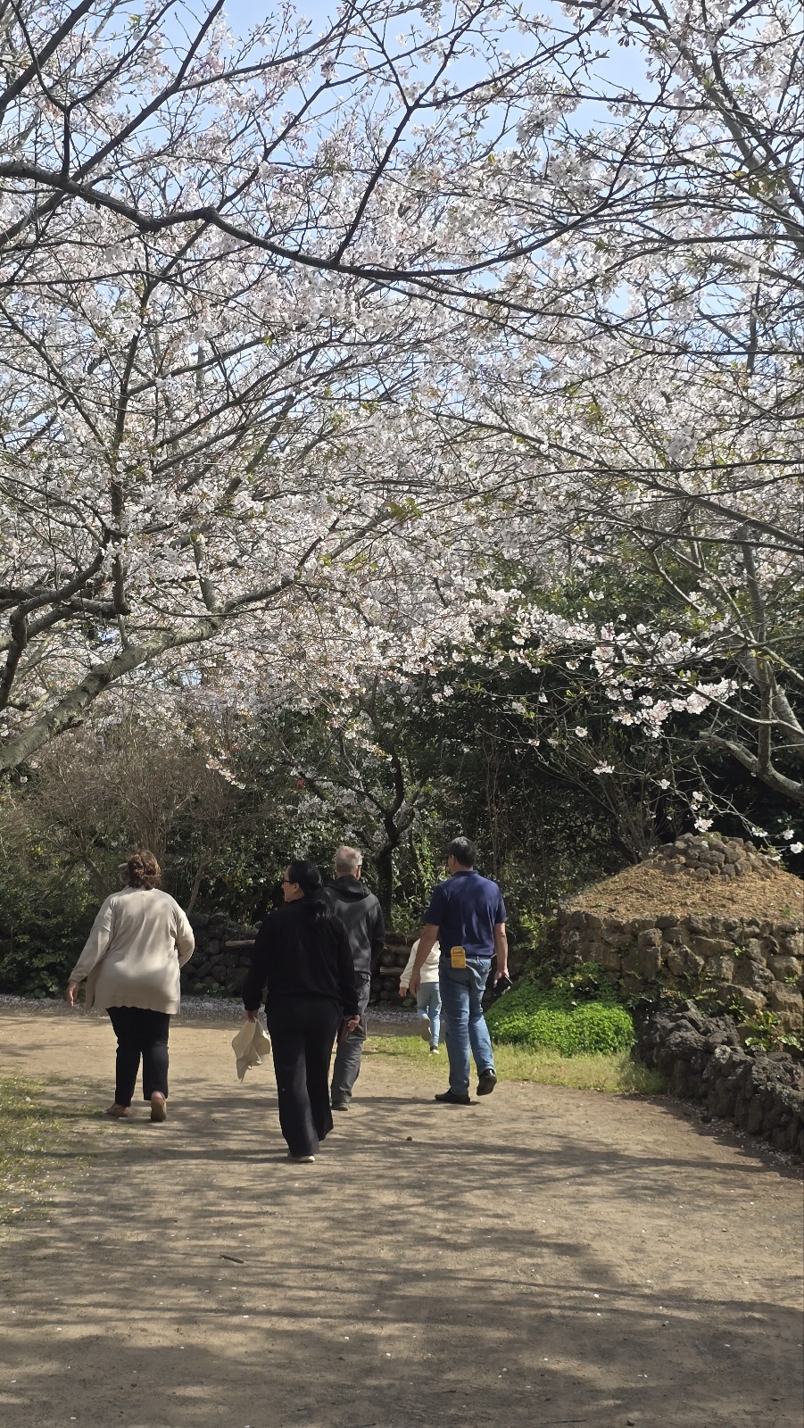 미국언니 이미지